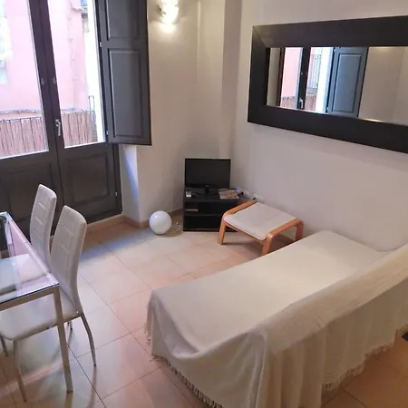Apartment Gran Estudio Barri Vell *