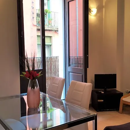 Apartment Gran Estudio Barri Vell Girona